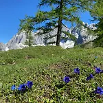 Haus Sonnleitner Ramsau am Dachstein