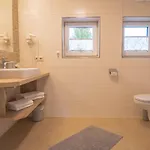 Διαμέρισμα Haus Sonnleitner Ramsau am Dachstein