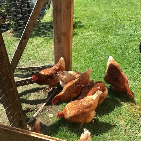 Haus Sonnleitner Lejlighed