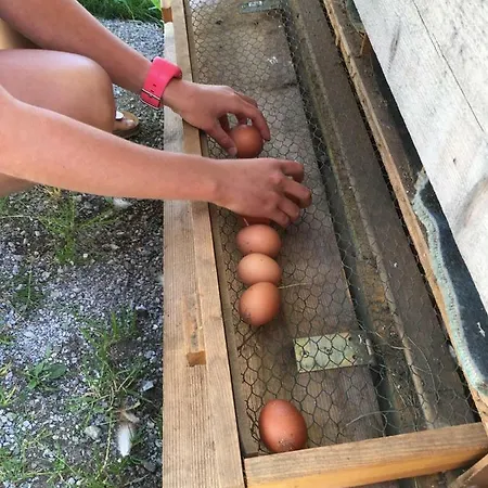 Haus Sonnleitner Lejlighed Ramsau am Dachstein