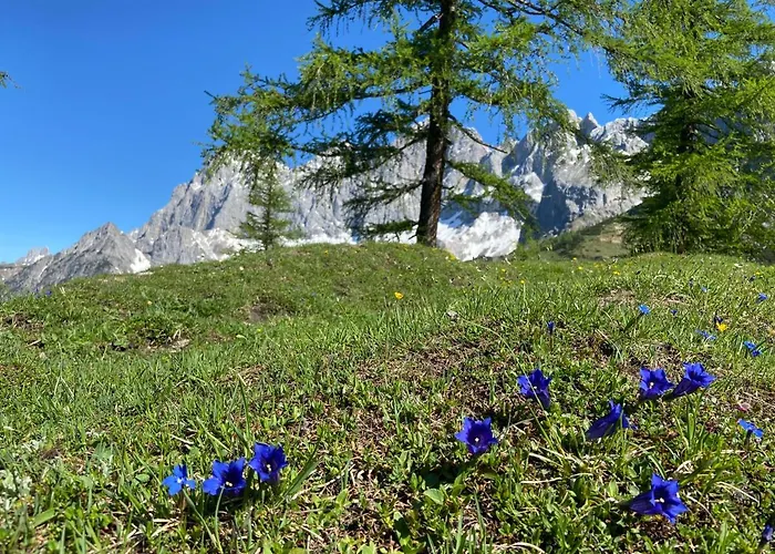 Haus Sonnleitner رامساو أم داتشستين