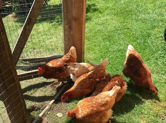 Haus Sonnleitner شقة