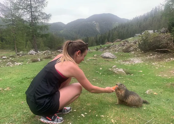 Haus Sonnleitner رامساو أم داتشستين